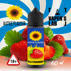 Жидкости для вейпа Native Flavour Wild Strawberry 60