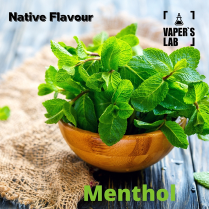 Фото, Відеоогляди на Аромки для вейпа Native Flavour "Menthol" 30мл 