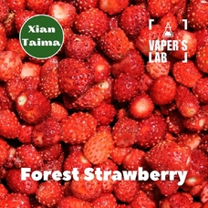  Xi'an Taima "Forest Strawberry" (Земляника)