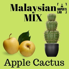 Жижа для POD систем Malaysian MIX Salt Apple cactus 15