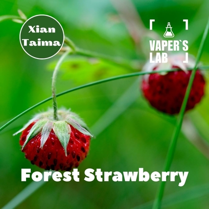 Фото, Відеоогляди на Компоненти для самозамісу Xi'an Taima "Forest Strawberry" (Суниця) 