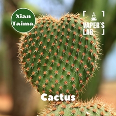Аромка для самозамеса Xi'an Taima Cactus Кактус