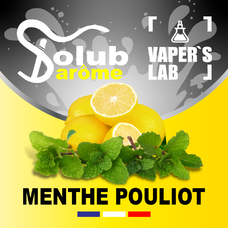 Натуральные ароматизаторы для вейпов Solub Arome Menthe pouliot Лимон и мята