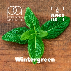  TPA "Wintergreen" (Зимняя прохлада) 