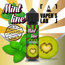 Рідини для електронних сигарет Mint Kiwi 60 ml