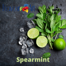 Пищевой ароматизатор для вейпа FlavourArt Spearmint Мята