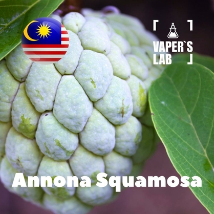 Фото, Відеоогляди на Аромки для вейпа Malaysia flavors Annona squamosa