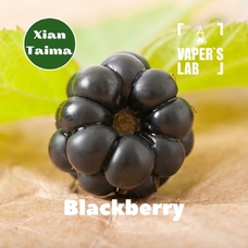  Xi'an Taima "Blackberry" (Ежевика)