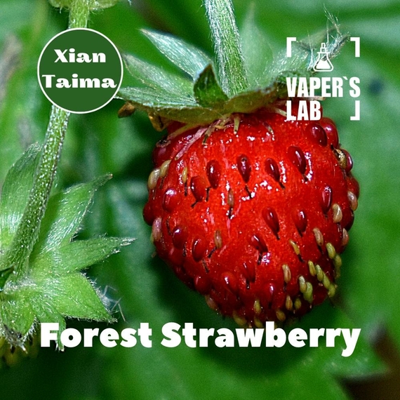 Відгуки на Аромки для вейпа Xi'an Taima "Forest Strawberry" (Суниця) 