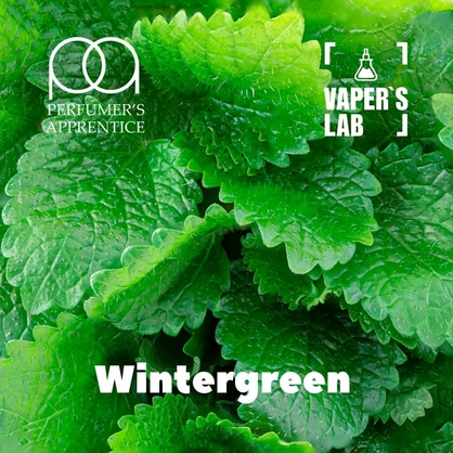 Фото, Відеоогляди на Ароматизатор для жижи TPA "Wintergreen" (Зимова прохолода) 