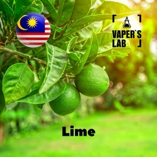 Лучшие вкусы для самозамеса Malaysia flavors Lime