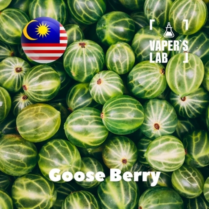 Фото на Ароматизатор для вейпа Malaysia flavors Goose Berry