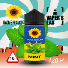 Жидкость для под систем Native Flavour Mint 120 ml