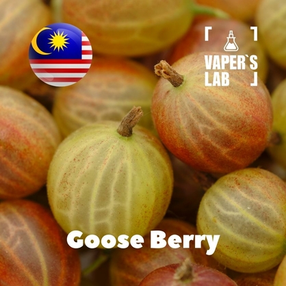 Фото, Відеоогляди на Аромку для вейпа Malaysia flavors Goose Berry