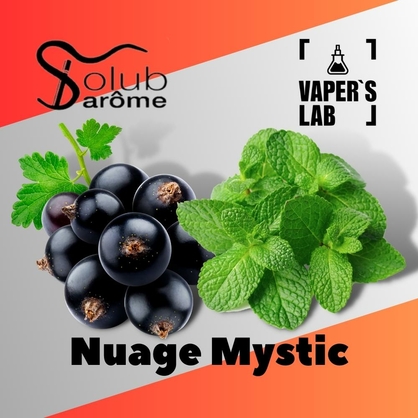 Фото, Видео, Премиум ароматизаторы для электронных сигарет Solub Arome "Nuage Mystic" (Смородина с мятой) 