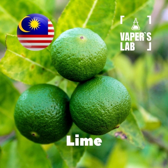 Відгуки на Ароматизатори для вейпа Malaysia flavors Lime