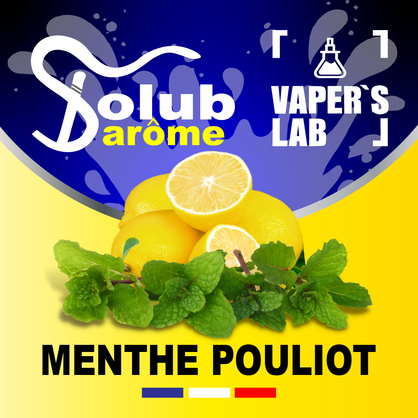 Фото, Відеоогляди на Компоненти для рідин Solub Arome "Menthe pouliot" (Лимон та м'ята) 
