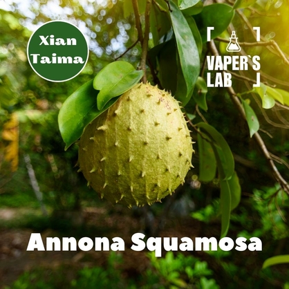 Фото, Відеоогляди на Натуральні ароматизатори для вейпа Xi'an Taima "Annona Squamosa" (Анона) 