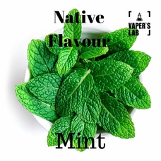 Жижа для вейпа купити дешево Native Flavour Mint 100 ml