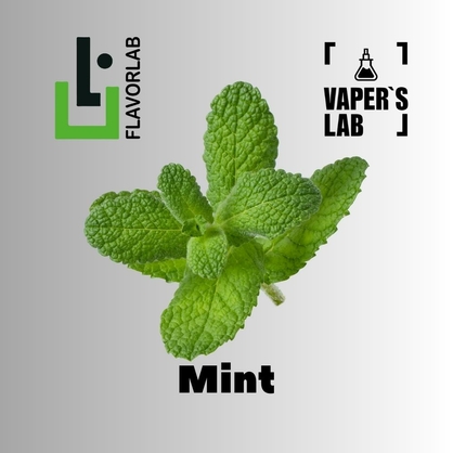 Фото, Відеоогляди на Аромку для вейпа Flavor Lab Mint 10 мл