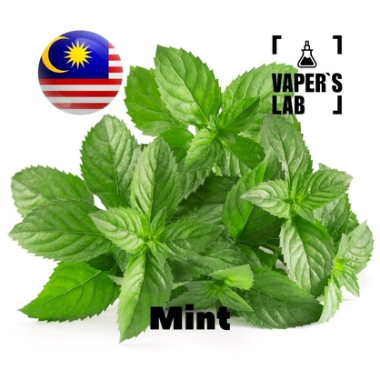 Фото на Аромку для вейпа Malaysia flavors Mint
