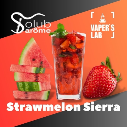 Фото, Відеоогляди на Ароматизатор для жижи Solub Arome "Strawmelon Sierra" (Коктейль з кавуном та полуницею) 