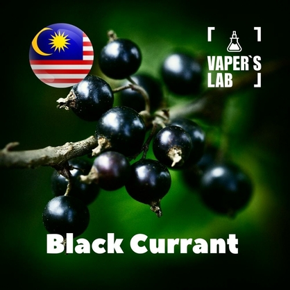 Фото на Аромку для вейпа Malaysia flavors Black Currant