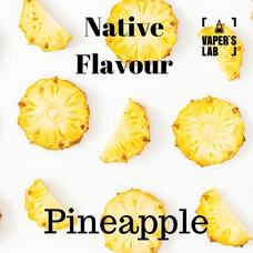 Жижа Native Flavour Pineapple 100 ml