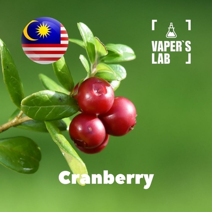 Фото, Відеоогляди на Aroma Malaysia flavors Cranberry