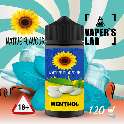 Фото заправка до електронної сигарети native flavour menthol 120 ml