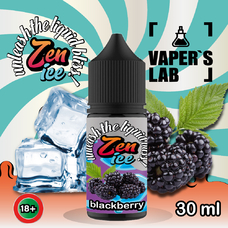 Жижи для пода Zen Ice SALT 30 мл Blackberry