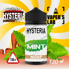 Жижа для вейпа купить Hysteria Mint 100 ml