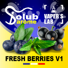 Пищевой ароматизатор для вейпа Solub Arome Fresh Berries v1 Черника смородина мята ментол