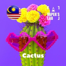  Malaysia flavors "Cactus"