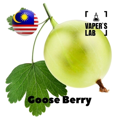 Фото на Ароматизатор для вейпа Malaysia flavors Goose Berry