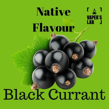 Фото купить жижи для вейпа native flavour black currant 120 ml