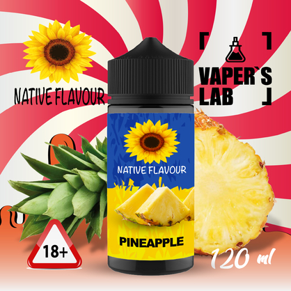 Фото жижа native flavour pineapple 120 ml