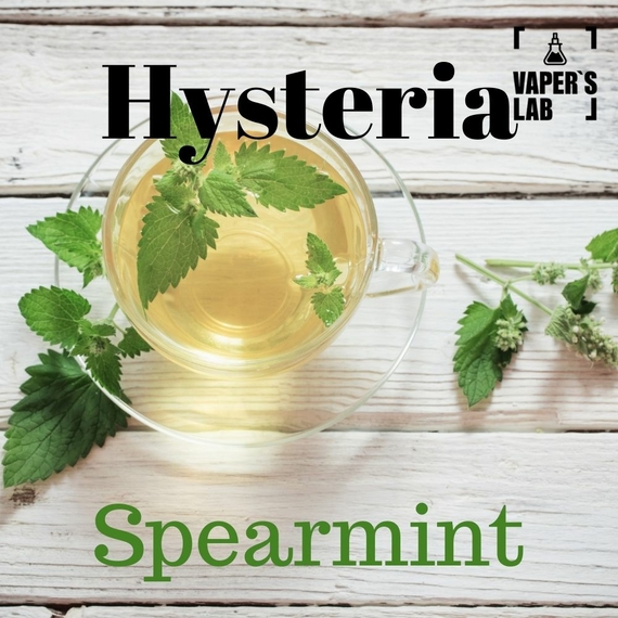 Отзывы на Заправку для вейпа Hysteria Spearmint 100 ml