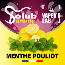 Ароматизатори для сольового нікотину Натуральні ароматизатори для вейпа Solub Arome "Menthe pouliot" (Лимон та м'ята)