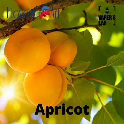 Фото, Відеоогляди на Аромки для вейпа FlavourArt Apricot Абрикос