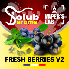 Ароматизатори для вейпа Solub Arome Fresh Berries v2 Чорниця смородина м'ята ментол