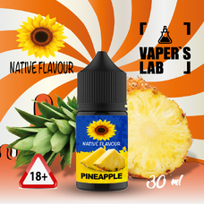  Native Flavour Pineapple 30