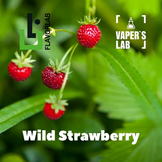 Відгуки на Ароматизатори для вейпа Flavor Lab Wild Strawberry 10 мл