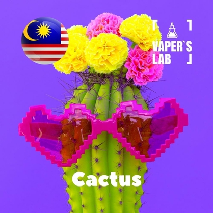 Фото, Відеоогляди на Аромки для вейпа. Malaysia flavors Cactus