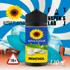 Заправка до електронної сигарети Native Flavour Menthol 120 ml