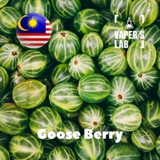 Ароматизатор для самозамішування Malaysia flavors Goose Berry