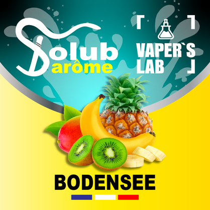 Фото, Відеоогляди на ароматизатор для самозамісу Solub Arome "Bodensee" (Цитрусові та екзотичні фрукти) 