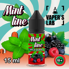 Жижи для пода Mint Line Salt 15 мл Wild born