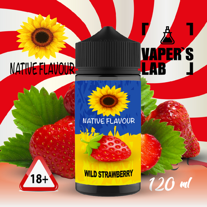 Фото жижи для вейпа native flavour wild strawberry 120 ml