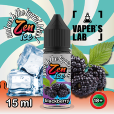 Жижи для пода Zen Ice SALT 15 мл Blackberry